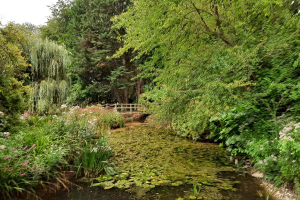Photograph of a nice view of a pond with a wooden bridge going over it. The pond is surrounded by trees.
