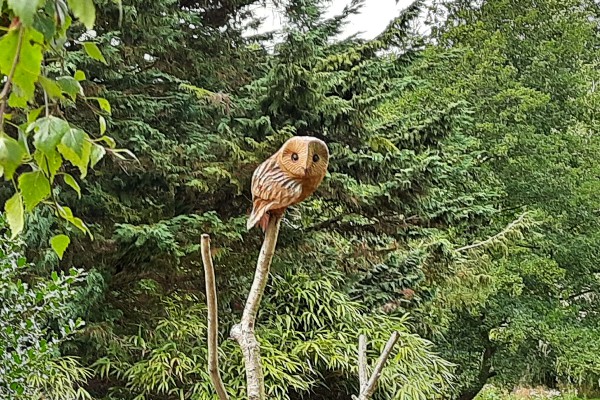 Photo of a small wooden owl