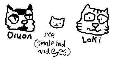 a drawin i did in michaelsoft paint 2 show the relitive hed and eye size between me and mine brothers... on the left is dillon with big hed and big eye, in middle is me with smale hed and smale eye, and on rite is loki with big hed and big eye.